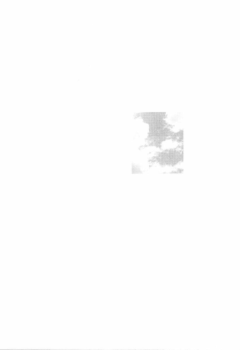 Nijigahara Holograph Chương 2 Ảnh 19