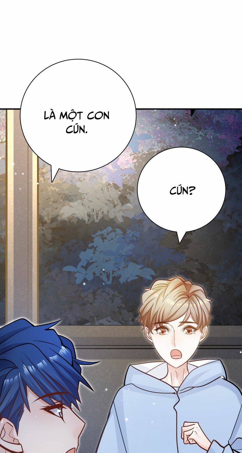 Anh Ấy Sinh Ra Đã Là Công Của Tôi Chương 75 Ảnh 11