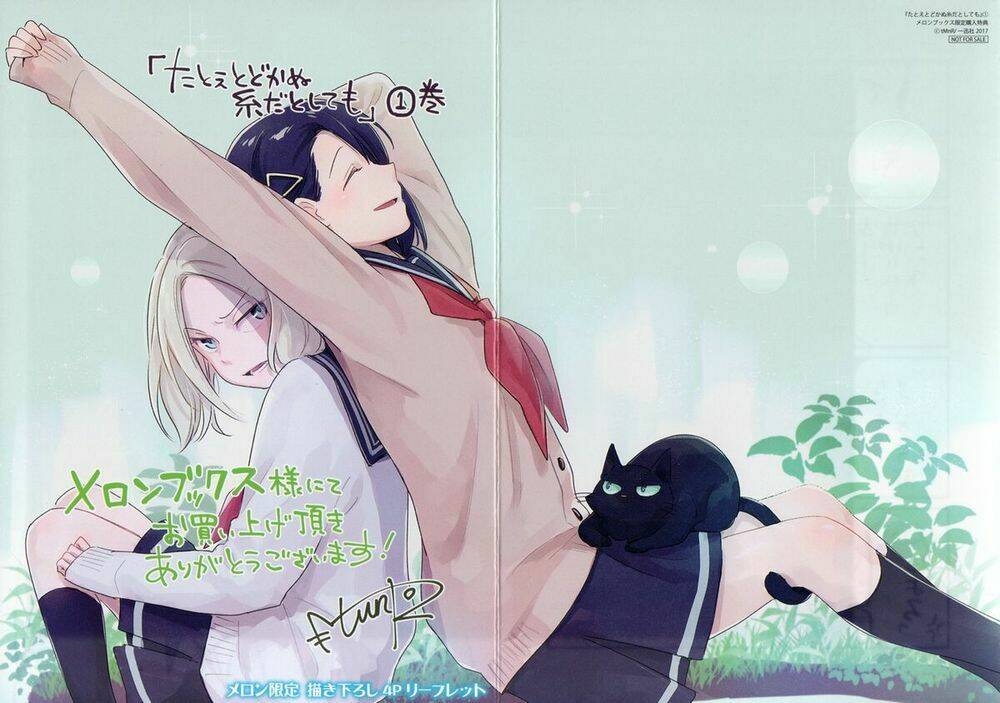 This Love That Won Reach Chương 39 Ảnh 5