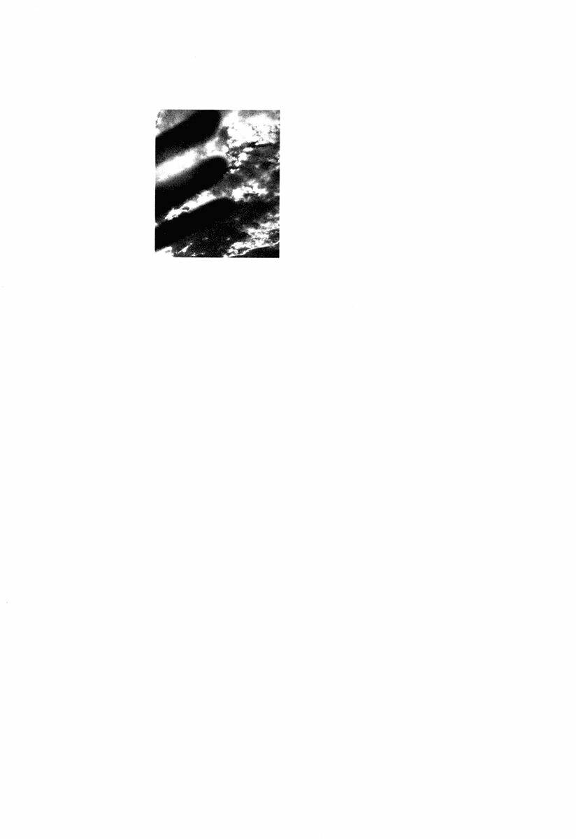 Nijigahara Holograph Chương 8 Ảnh 23
