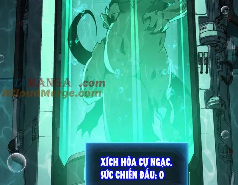Cá Chép Tiến Hoá Thành Thần Long Chương 34 Ảnh 98