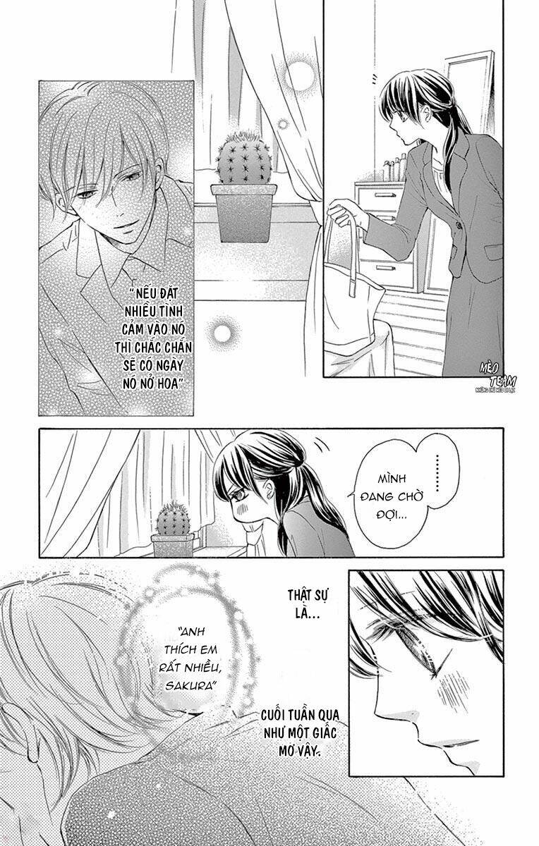 Toge Ni Kuchizuke Chương 8 Ảnh 7