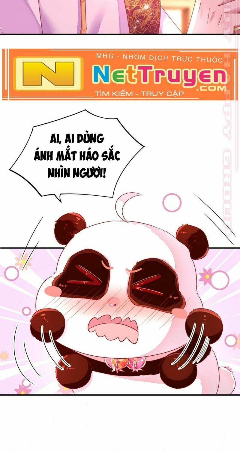 Thiên Thần Gấu Trúc Muốn Được Ôm Chương 61 Ảnh 13