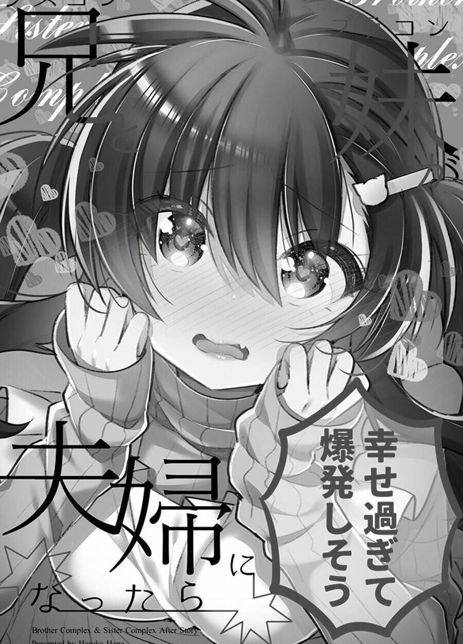 Siscon Ani To Brocon Imouto Ga Shoujiki Ni Nattara Chương 49 Ảnh 4