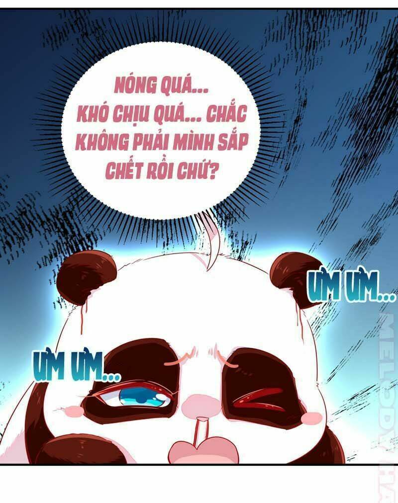 Thiên Thần Gấu Trúc Muốn Được Ôm Chương 52 Ảnh 13
