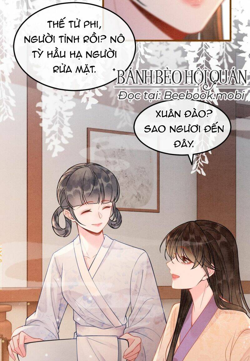 Sau Khi Nàng Bị Đánh Chết, Các Anh Trai Đều Hối Hận! Chương 11 Ảnh 37