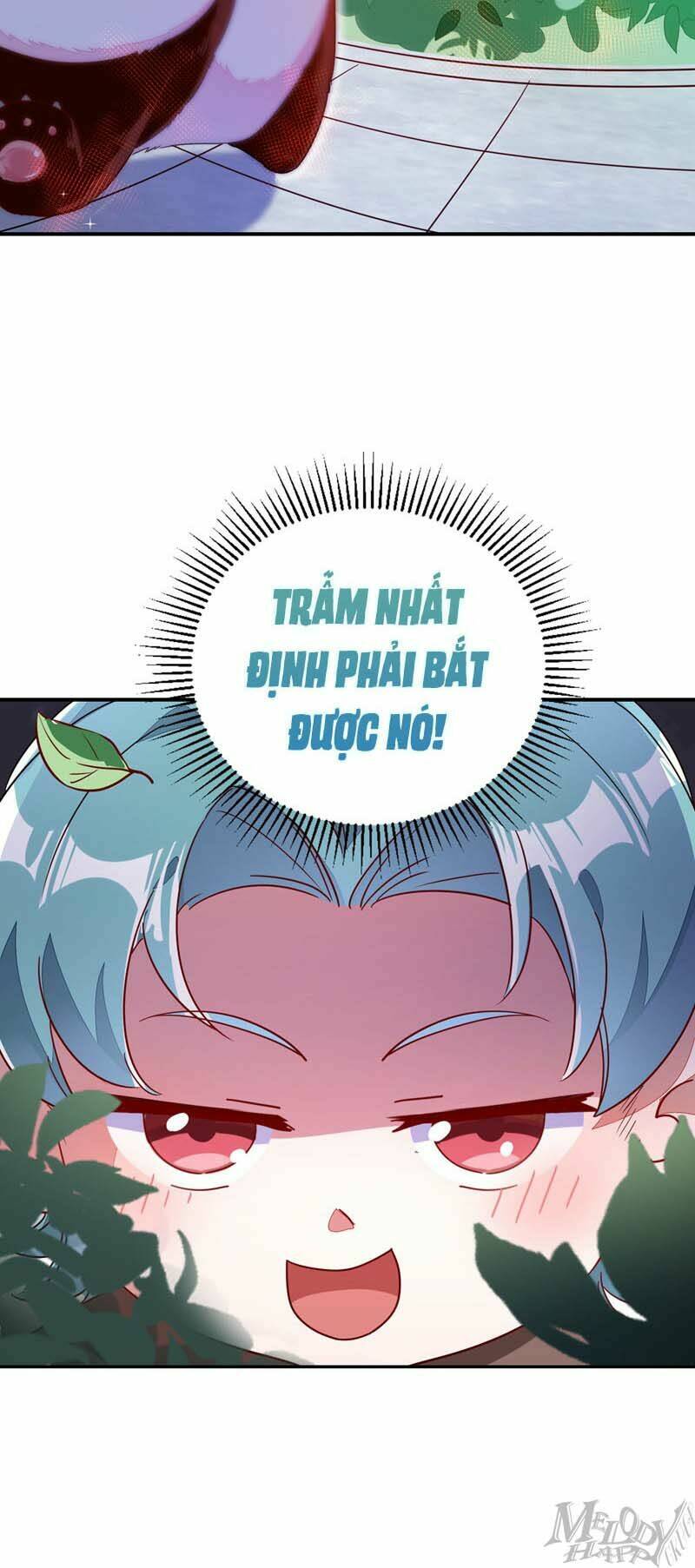 Thiên Thần Gấu Trúc Muốn Được Ôm Chương 45 Ảnh 16