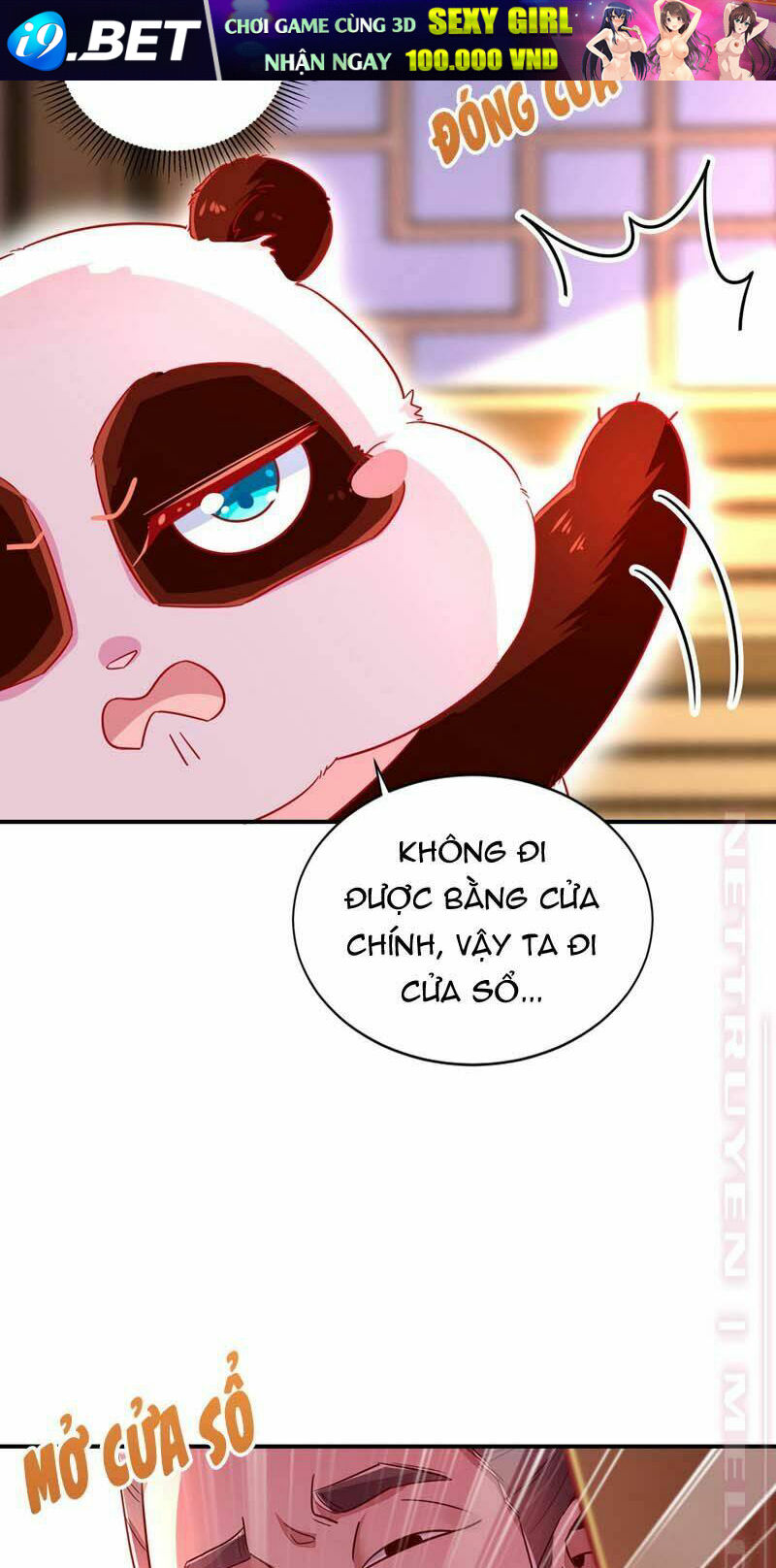 Thiên Thần Gấu Trúc Muốn Được Ôm Chương 59 Ảnh 10