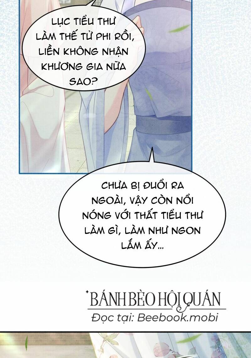 Sau Khi Nàng Bị Đánh Chết, Các Anh Trai Đều Hối Hận! Chương 4 Ảnh 11