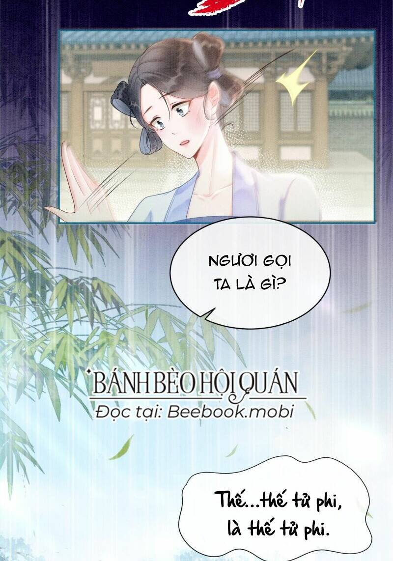 Sau Khi Nàng Bị Đánh Chết, Các Anh Trai Đều Hối Hận! Chương 4 Ảnh 14