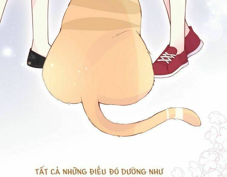 Bên Anh Mới Là Cả Thế Giới Chương 5 Ảnh 19