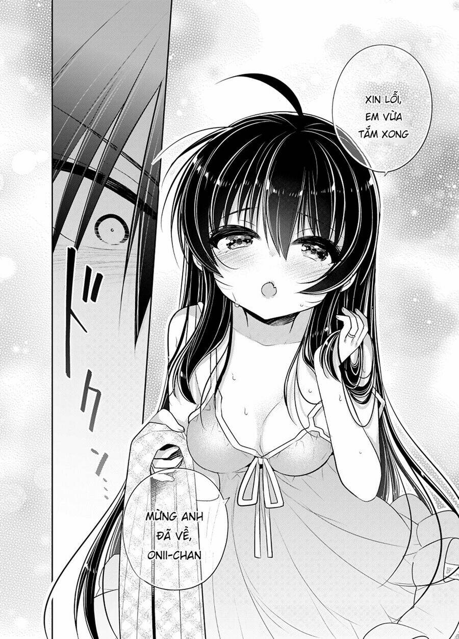 Siscon Ani To Brocon Imouto Ga Shoujiki Ni Nattara Chương 49 Ảnh 15