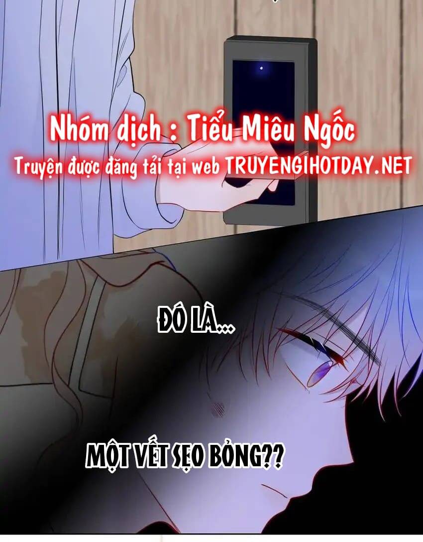 Ngôi Sao Cho Tôi Chương 145 Ảnh 42