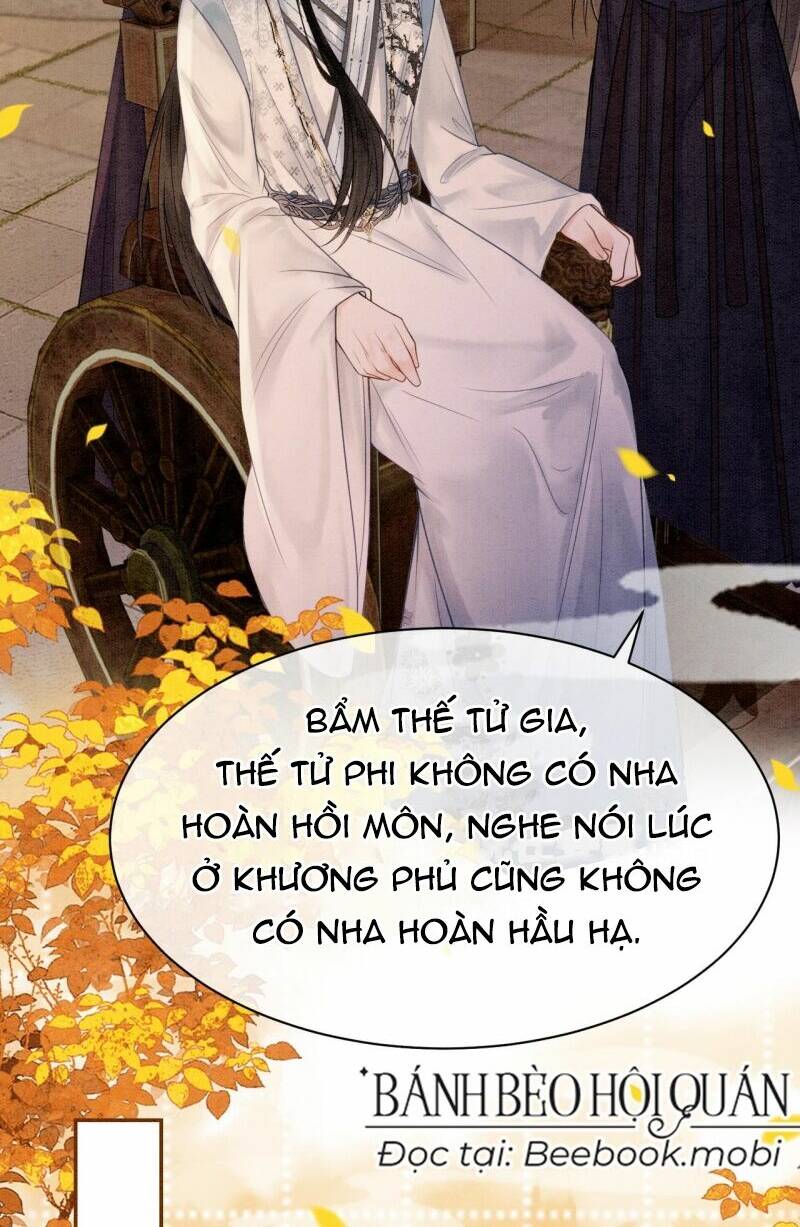 Sau Khi Nàng Bị Đánh Chết, Các Anh Trai Đều Hối Hận! Chương 11 Ảnh 8