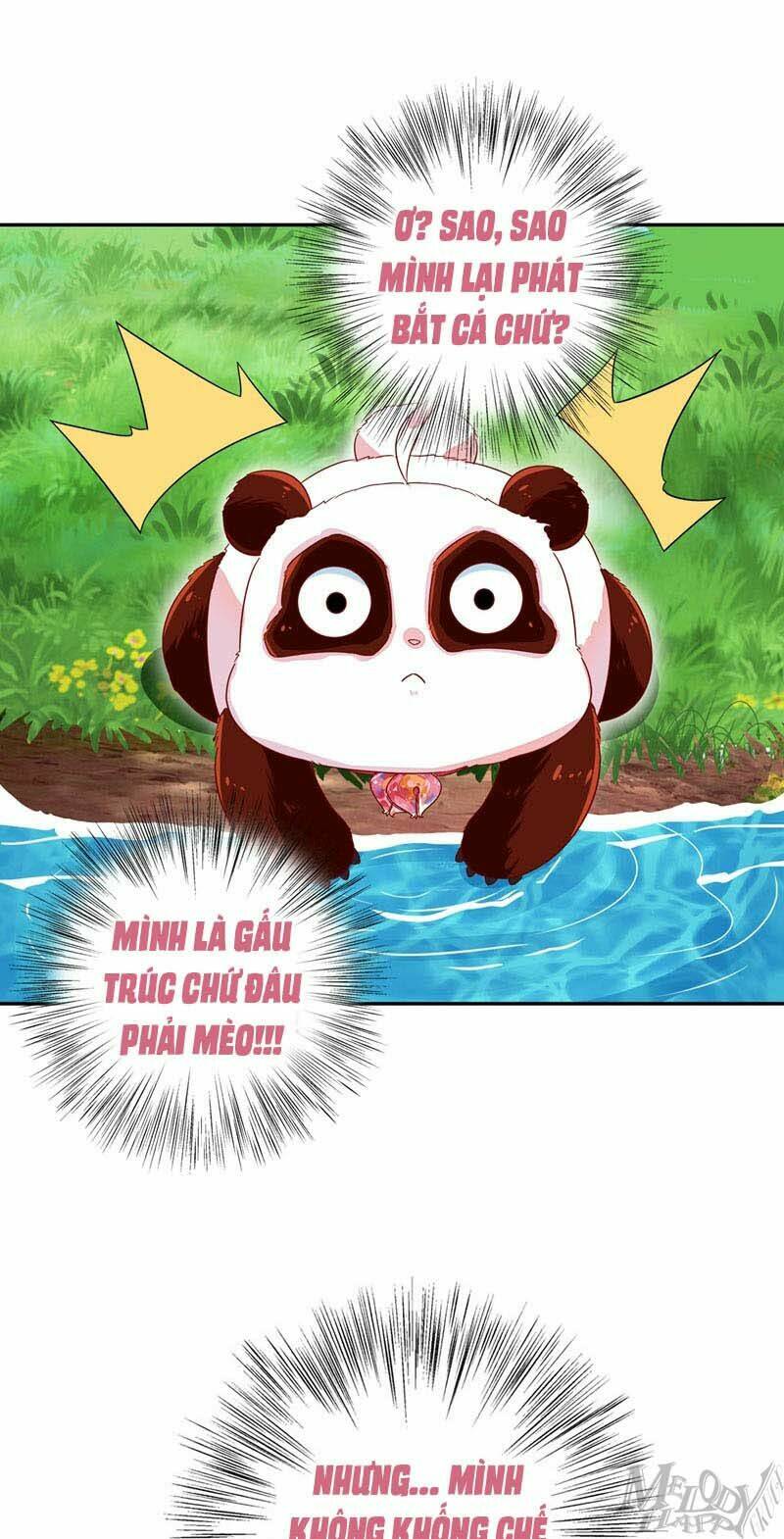 Thiên Thần Gấu Trúc Muốn Được Ôm Chương 46 Ảnh 13
