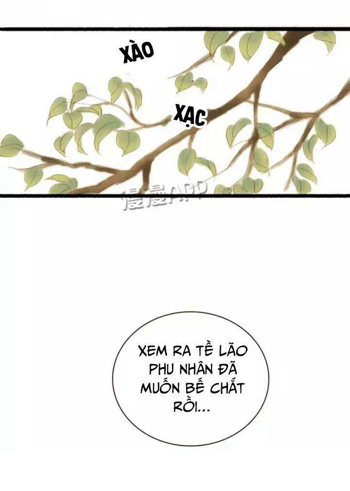 Phồn Hoa Phai Màu Chương 1 Ảnh 28