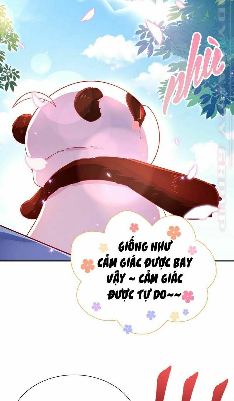 Thiên Thần Gấu Trúc Muốn Được Ôm Chương 59 Ảnh 17