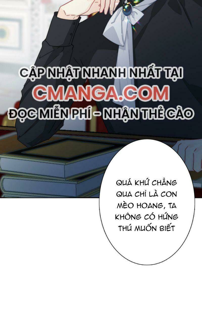 Tôi Bị Ép Trở Thành Vương Phi Khi Xuyên Tới Thế Giới Khác Chương 4 Ảnh 12