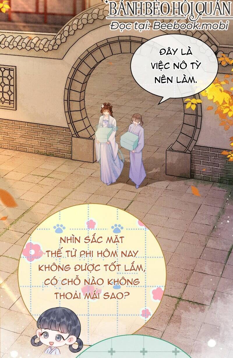 Sau Khi Nàng Bị Đánh Chết, Các Anh Trai Đều Hối Hận! Chương 11 Ảnh 5