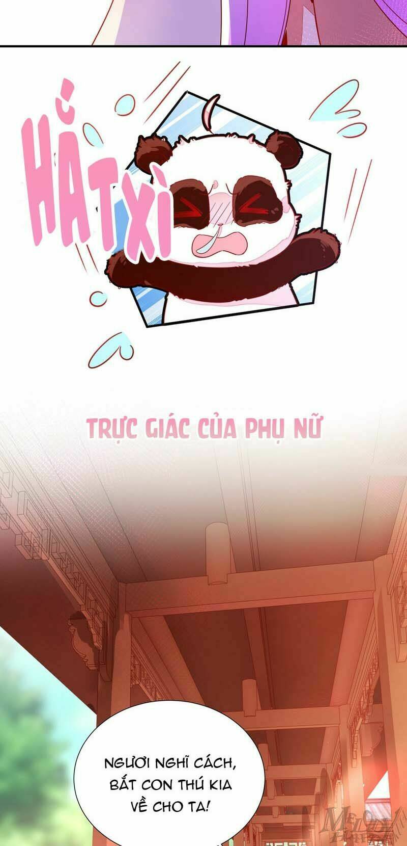 Thiên Thần Gấu Trúc Muốn Được Ôm Chương 44 Ảnh 19