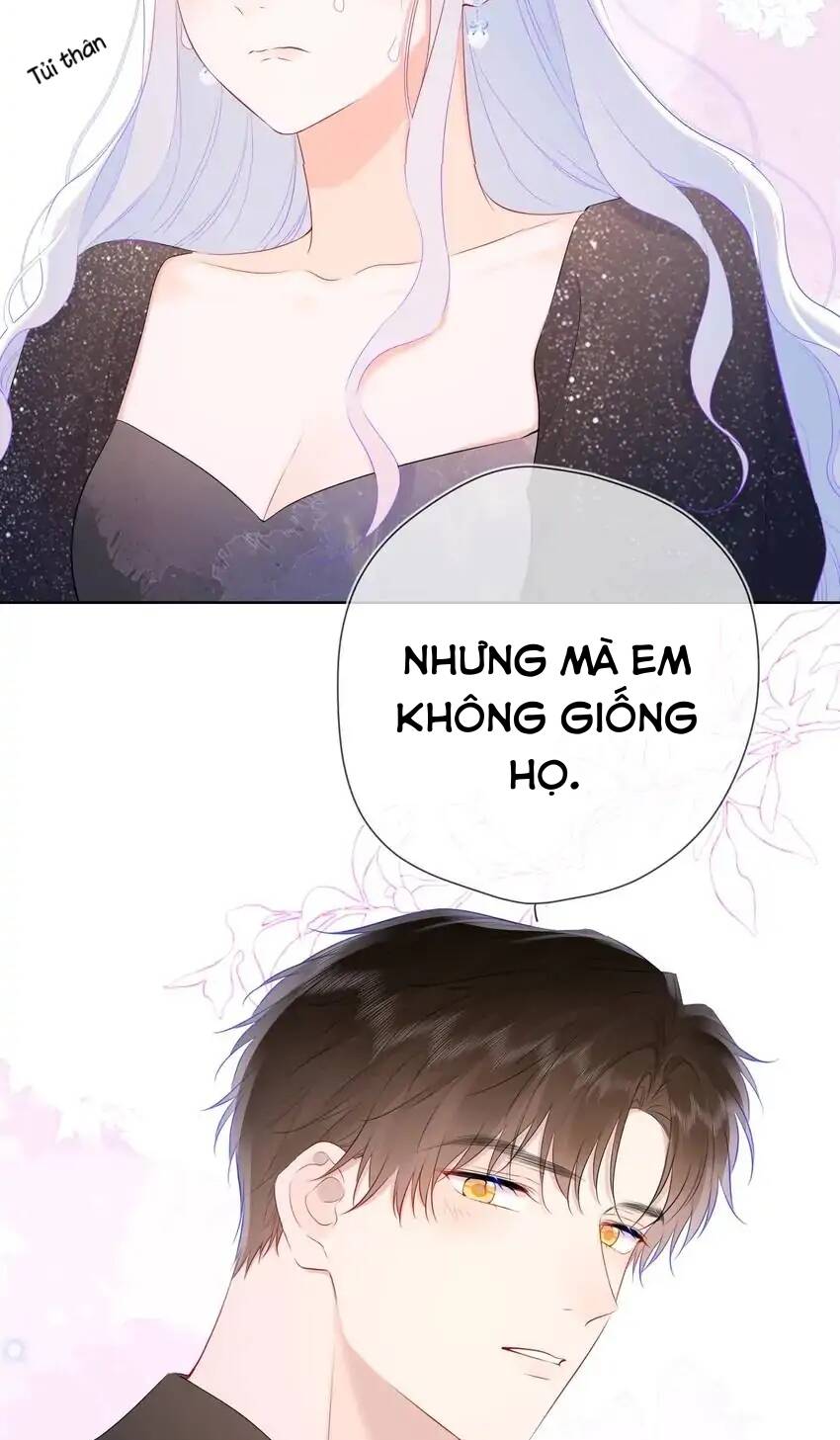 Ngôi Sao Cho Tôi Chương 130 Ảnh 40