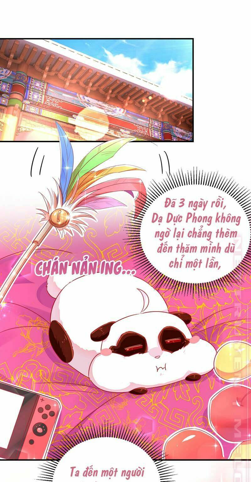 Thiên Thần Gấu Trúc Muốn Được Ôm Chương 59 Ảnh 4