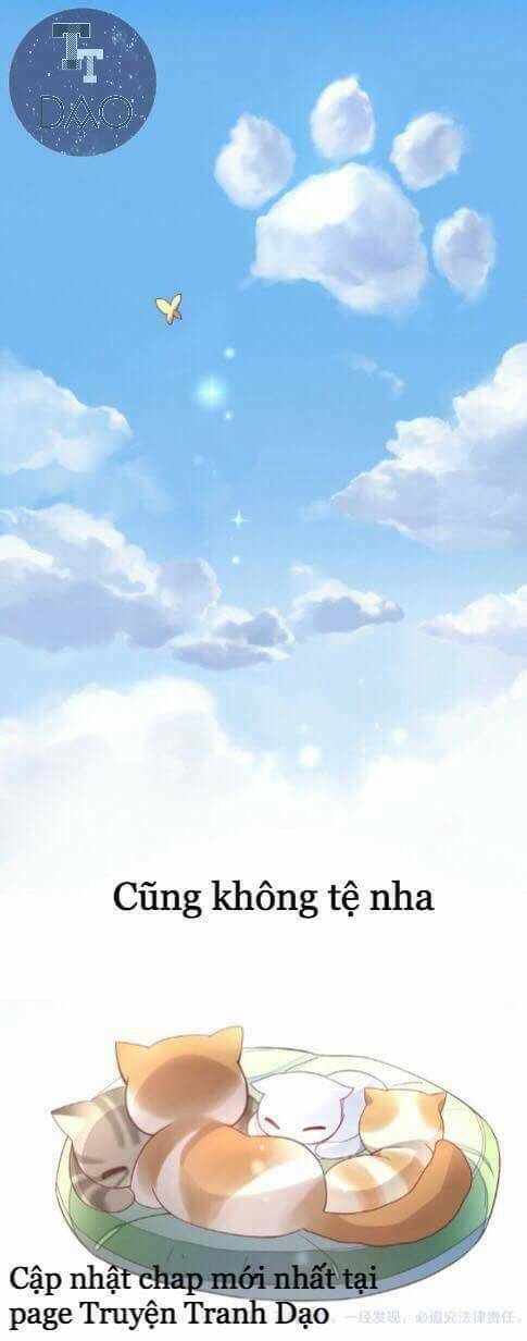 Dưới Móng Vuốt Mèo Chương 1 Ảnh 40