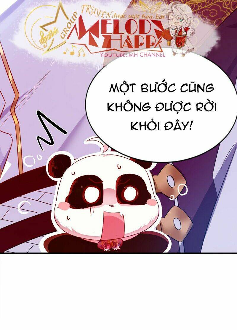 Thiên Thần Gấu Trúc Muốn Được Ôm Chương 58 Ảnh 43