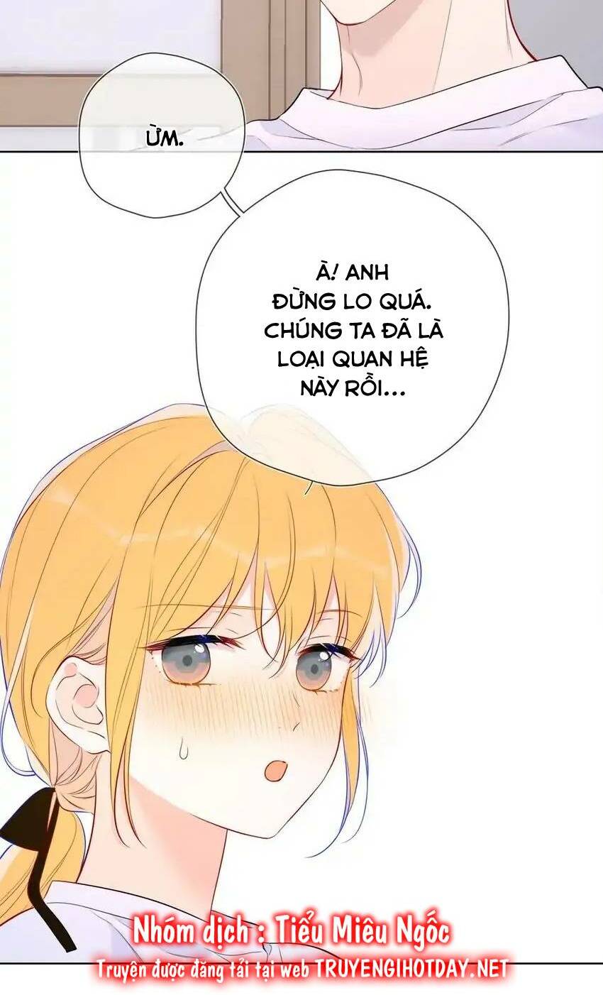 Ngôi Sao Cho Tôi Chương 144 Ảnh 15