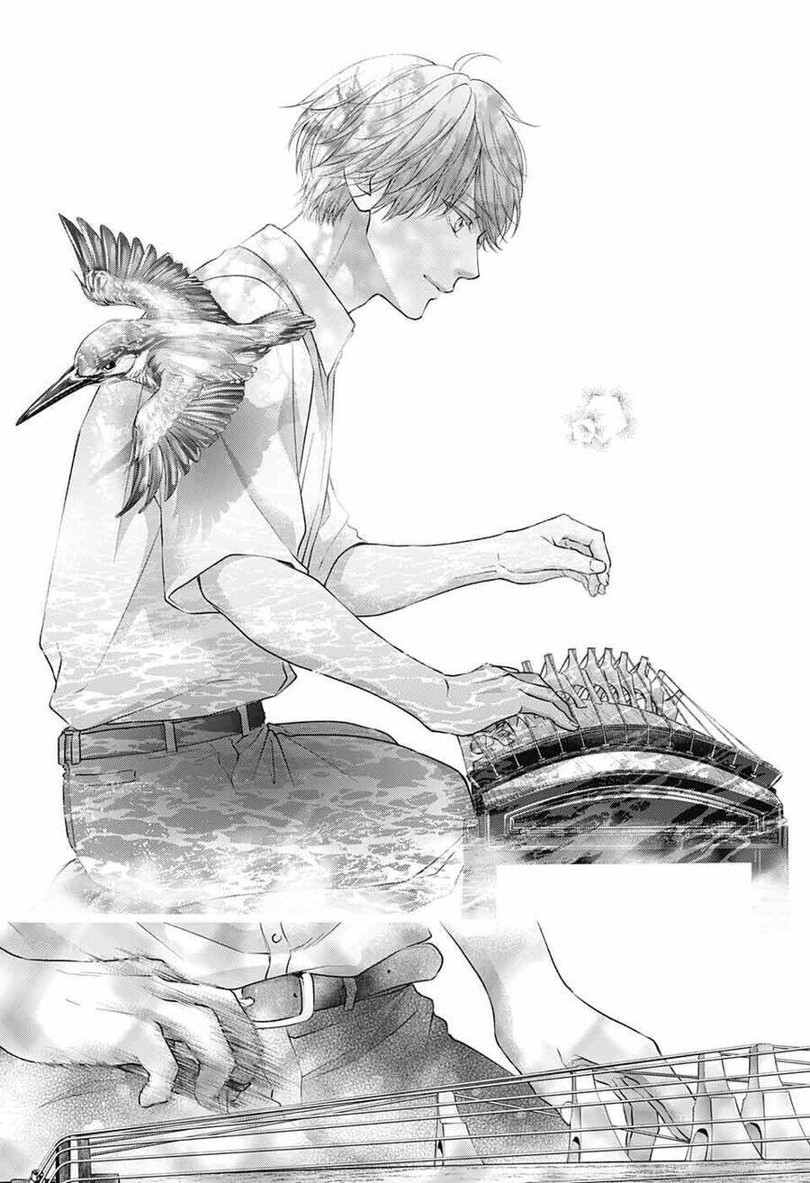 Kono Oto Tomare! Chương 123 Ảnh 13
