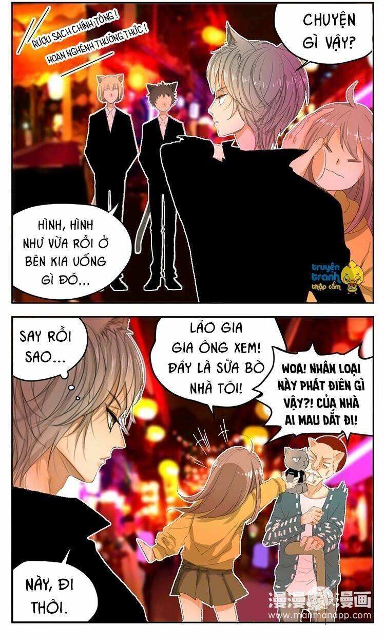 Cứu Mạng ! Loài Mèo Thống Trị Thế Giới Rồi ! Chương 23 Ảnh 11