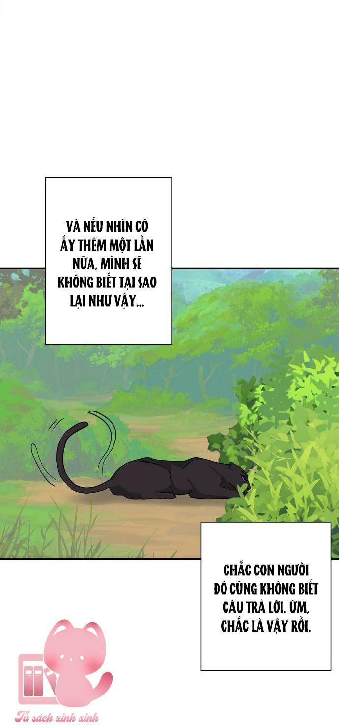 Thuần Hoá Quái Thú Thật Tốt Chương 90 Ảnh 10