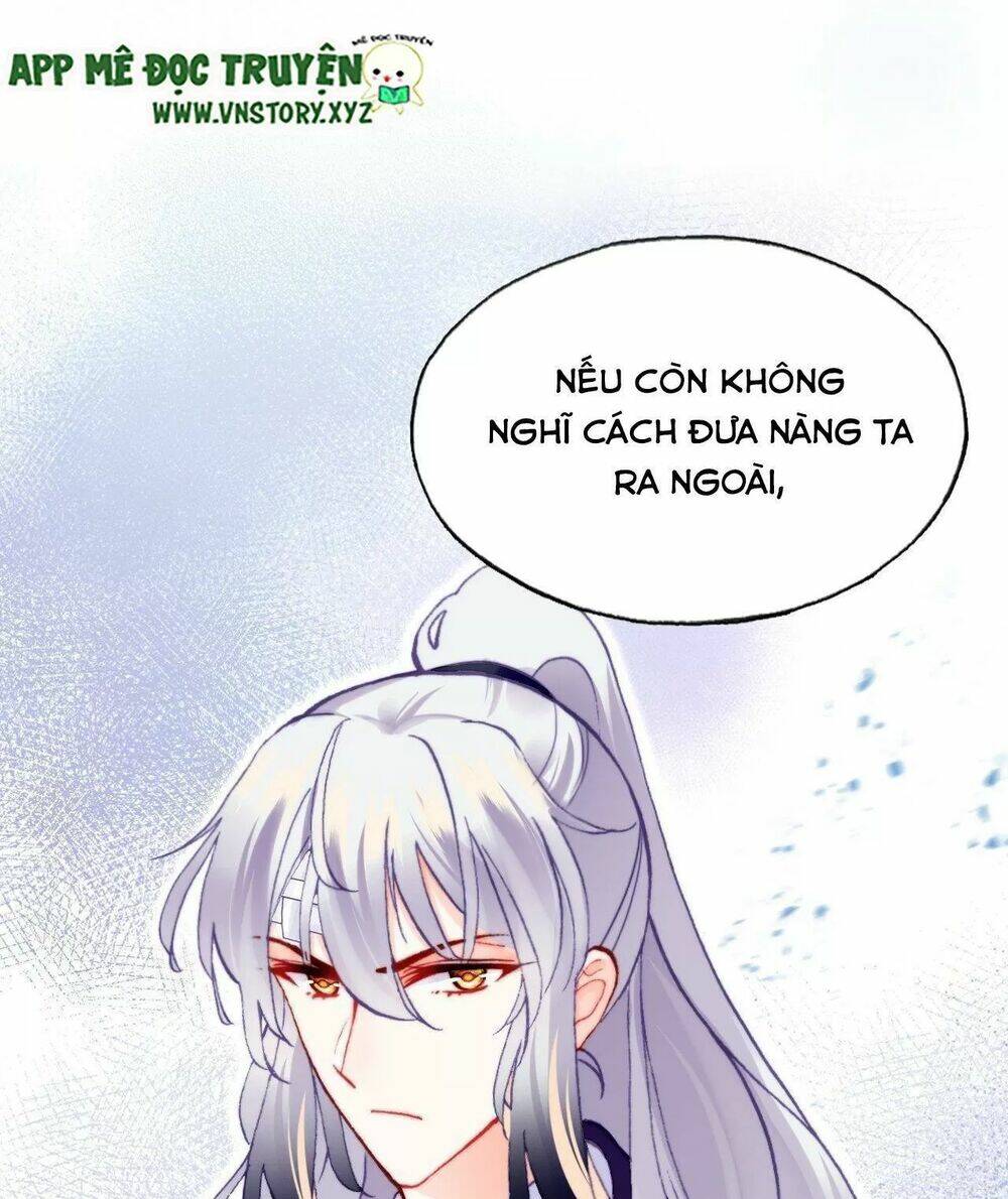 Lại Bị Bệnh Chiều Chuộng Quấn Lấy Chương 62 Ảnh 67