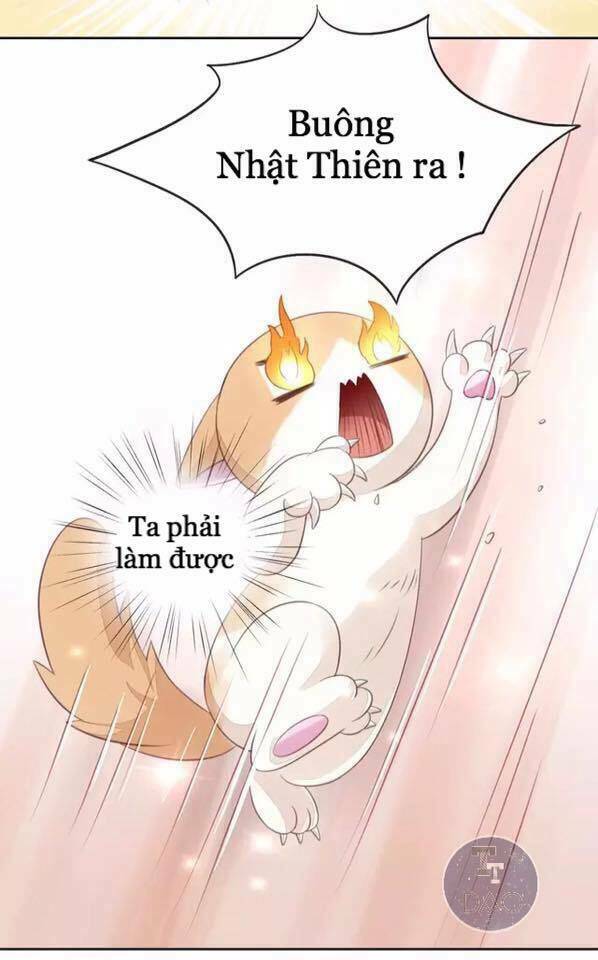 Dưới Móng Vuốt Mèo Chương 15 Ảnh 34