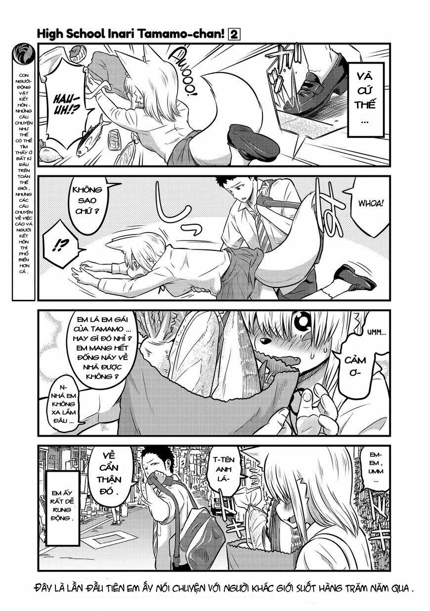 High School Inari Tamamo-Chan ! Chương 19 Ảnh 5
