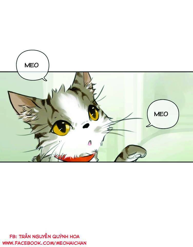 12 Giờ Của Lọ Lem Chương 40 Ảnh 3