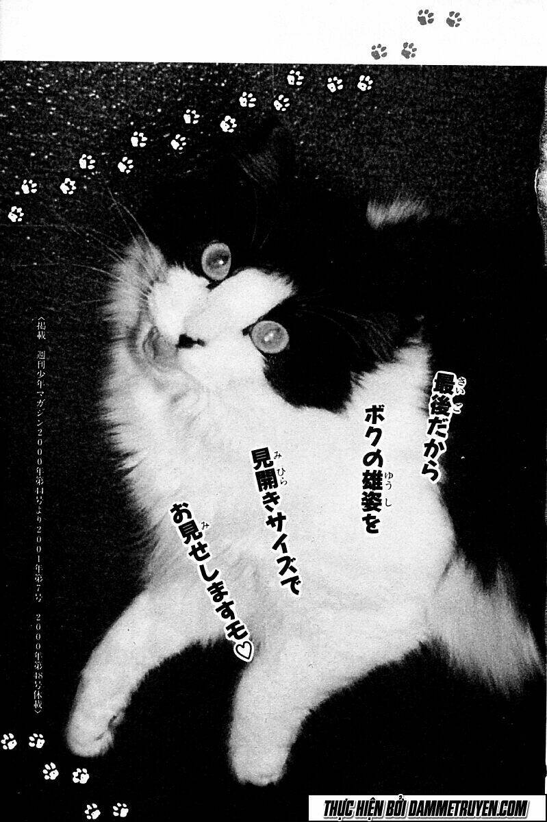 Shin Kotaro Makaritoru! Juudouhen Chương 216 Ảnh 5