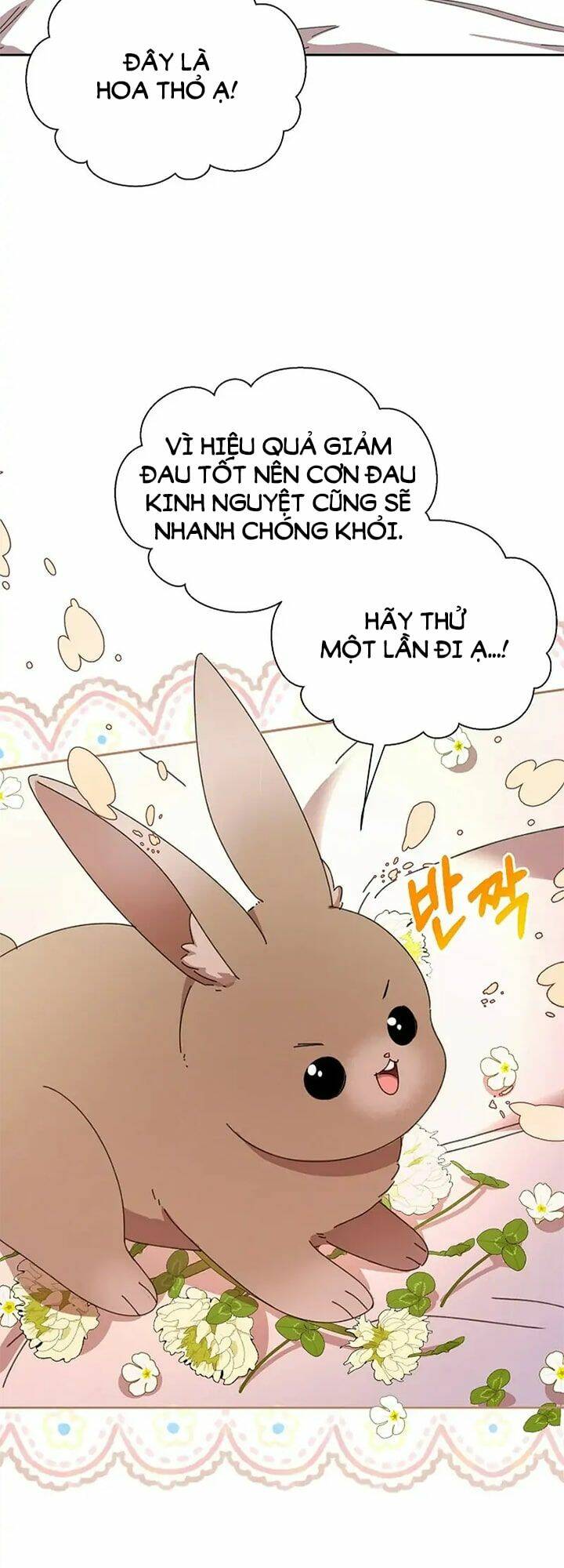 Tôi Đã Vô Tình Quyến Rũ Em Trai Của Nam Chính Chương 12 Ảnh 59