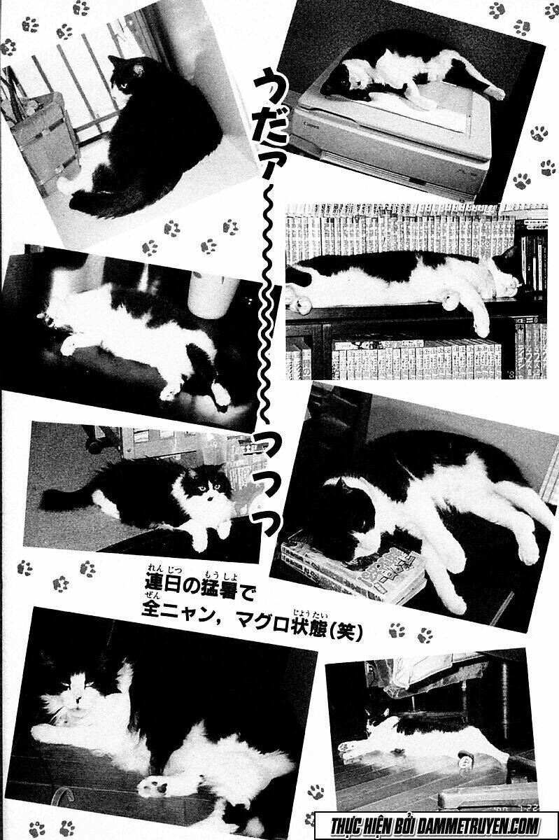 Shin Kotaro Makaritoru! Juudouhen Chương 205 Ảnh 15