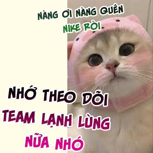 Sau Khi Chia Tay , Tôi Có Kết Đẹp Cùng Với Chú Nhỏ Chương 82 Ảnh 51