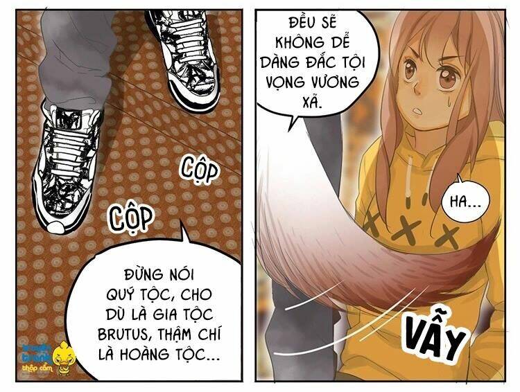 Cứu Mạng ! Loài Mèo Thống Trị Thế Giới Rồi ! Chương 19 Ảnh 10