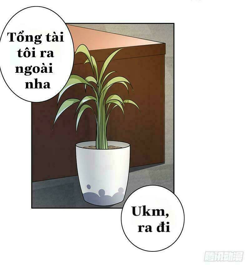 Độc Sủng Tiểu Lão Bà Chương 15 Ảnh 3