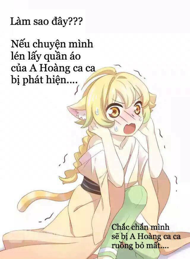 Dưới Móng Vuốt Mèo Chương 11 Ảnh 17