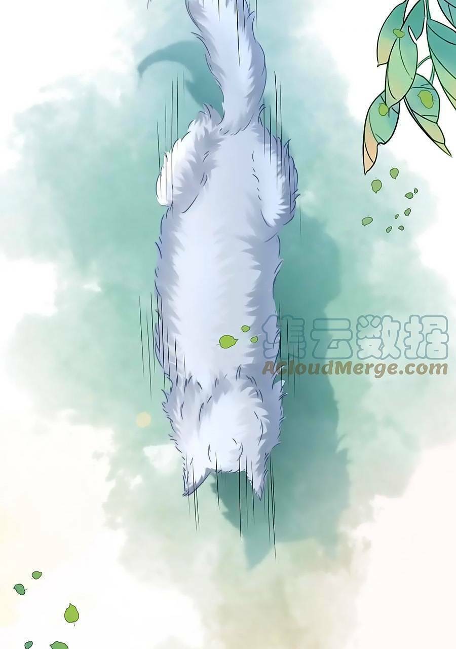 Xuyên Nhanh Nữ Phụ Bình Tĩnh Chút Chương 164 Ảnh 52
