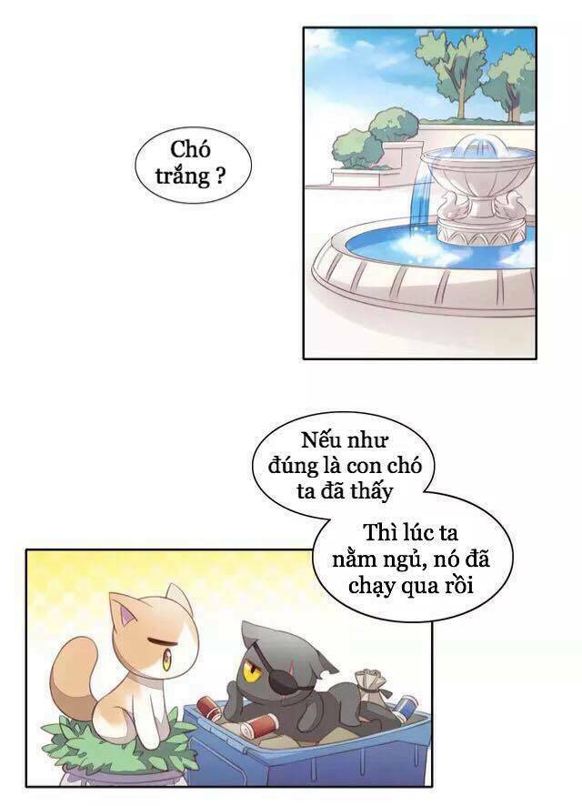 Dưới Móng Vuốt Mèo Chương 15 Ảnh 17