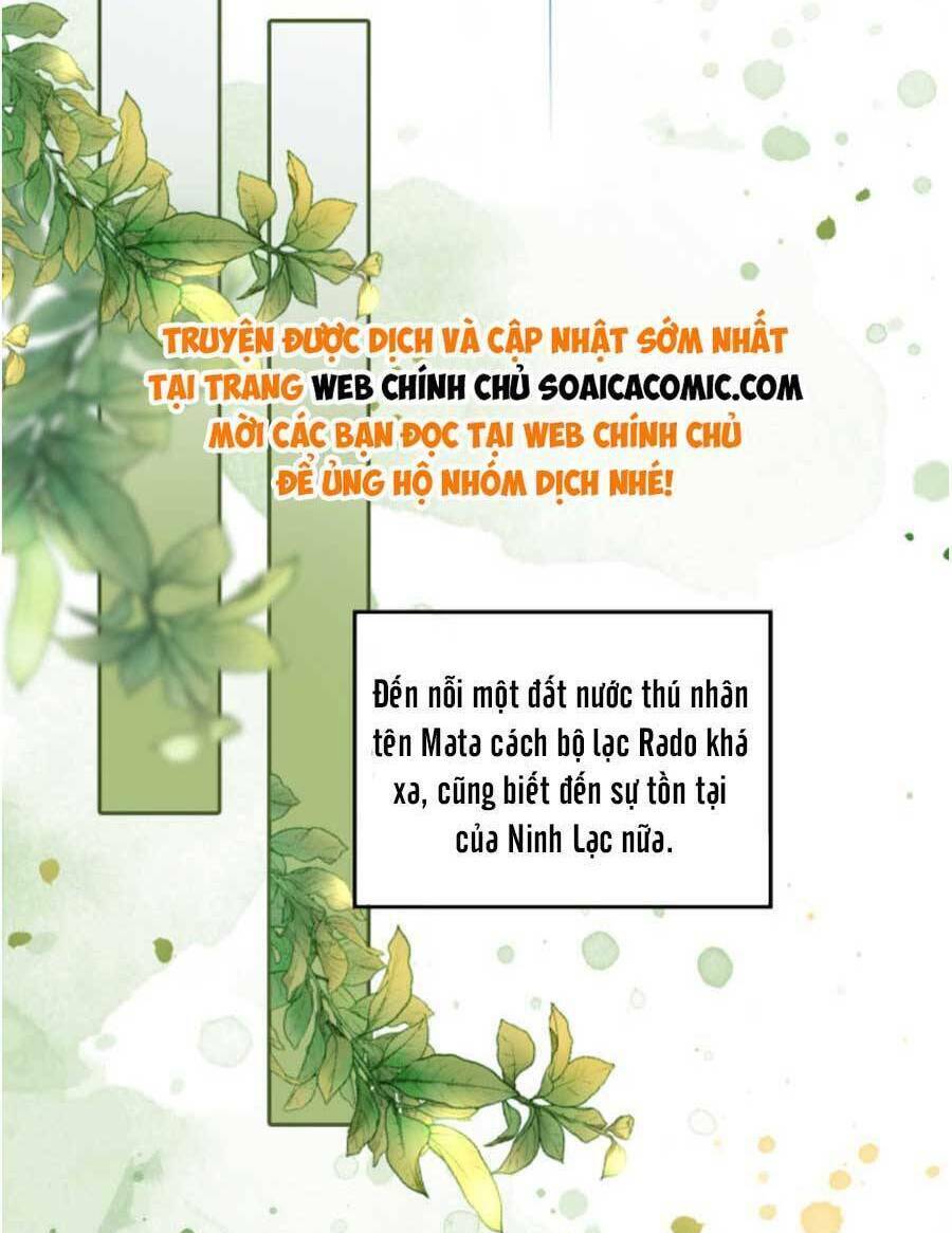 Xuyên Nhanh Nữ Phụ Bình Tĩnh Chút Chương 167.1 Ảnh 34