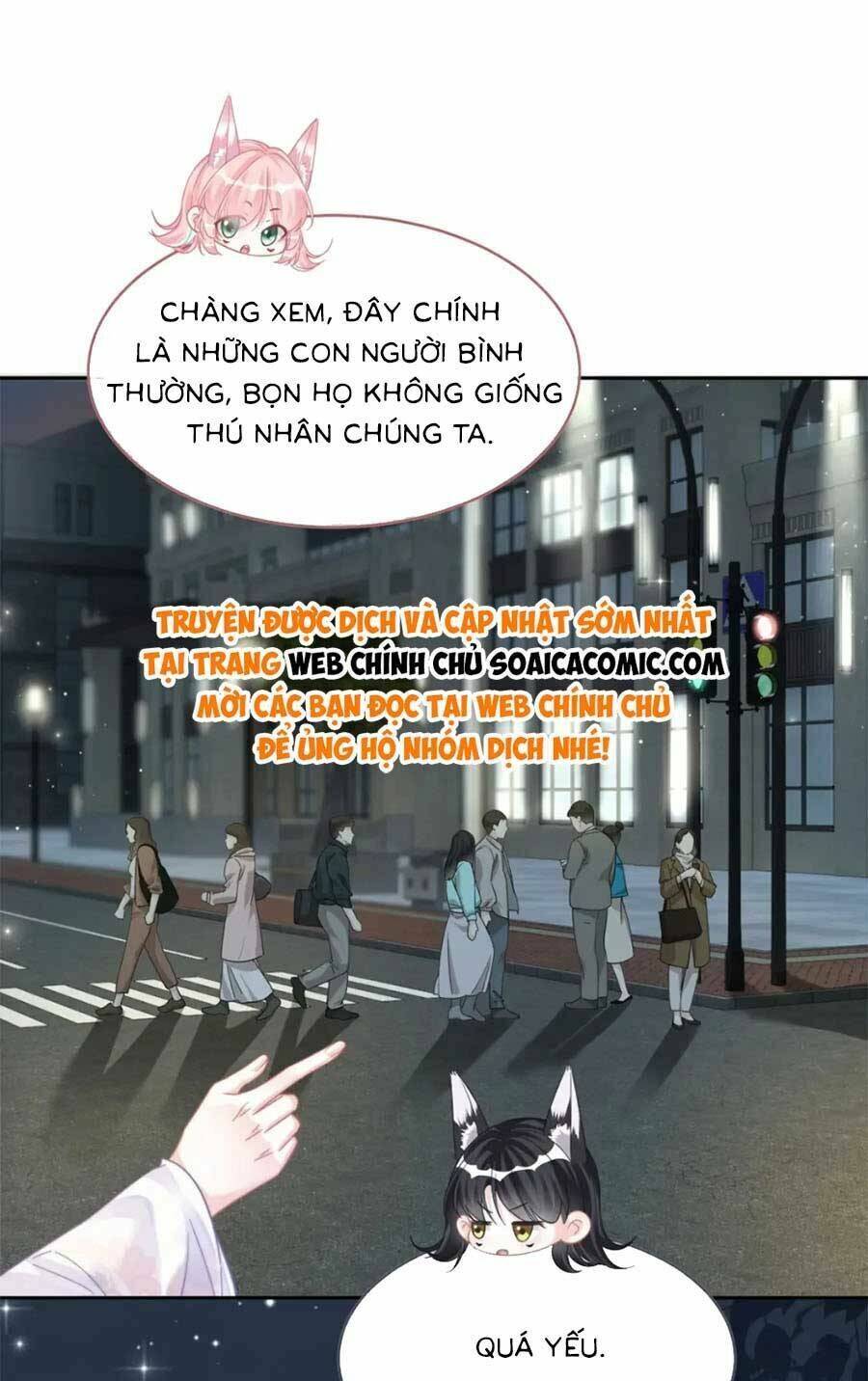 Xuyên Nhanh Nữ Phụ Bình Tĩnh Chút Chương 172 Ảnh 12