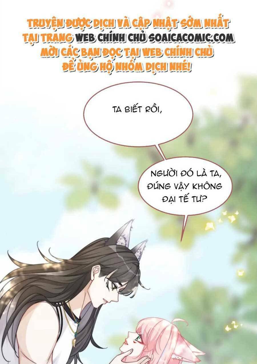 Xuyên Nhanh Nữ Phụ Bình Tĩnh Chút Chương 163 Ảnh 62