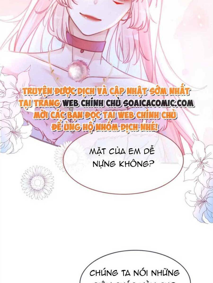 Xuyên Nhanh Nữ Phụ Bình Tĩnh Chút Chương 162 Ảnh 52