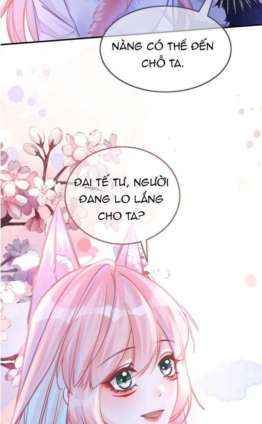 Xuyên Nhanh Nữ Phụ Bình Tĩnh Chút Chương 161 Ảnh 68
